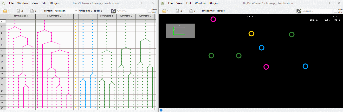 BigDataViewer