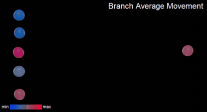 branchAverageMovementAnimation.gif