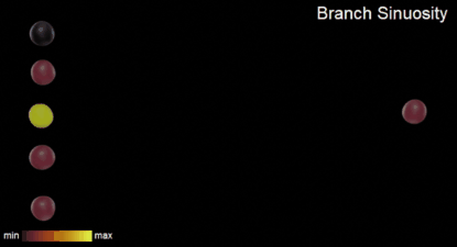 branchSinuosityAnimation.gif