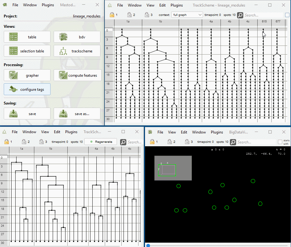 lineage_motif_search_workflow.gif
